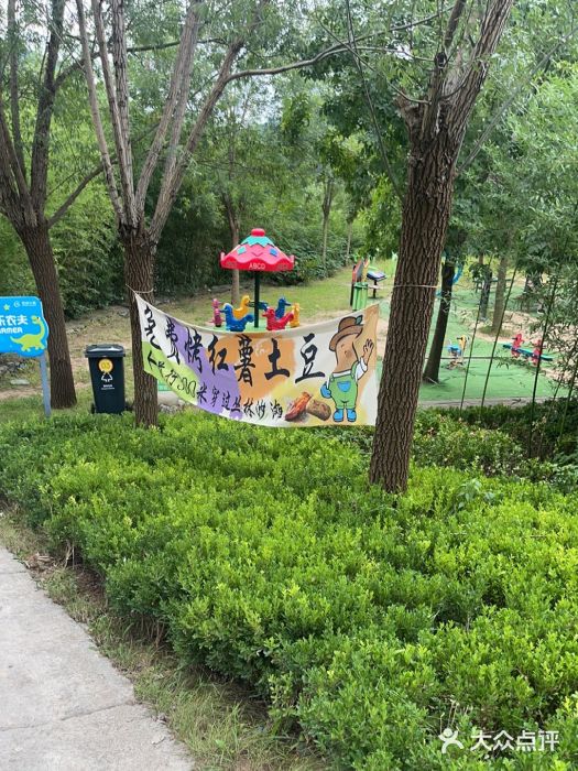 西部长青自然儿童乐园图片