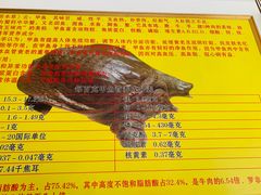 -大圣甲(汉口店)