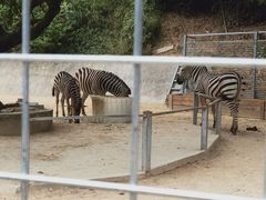 -泉州海丝野生动物世界