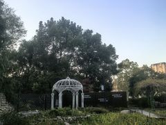 -圩墩遗址公园