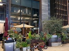 -OGGI TRATTORIA PIZZERIA(深业上城店)