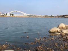 -澹台湖公园