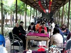 -百林岛梦里水乡