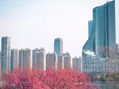 -天鹅湖体育公园