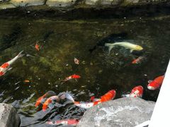 -亚庇凯城酒店