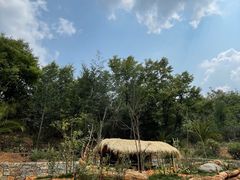-云南野生动物园