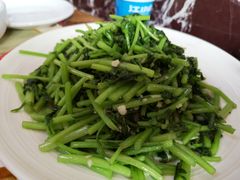 蒜蓉茼蒿-林之六八·6886大连老菜馆