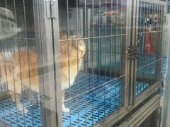 -乐宠宠物店(世纪金源店)