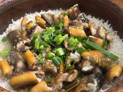-红星光发煲仔饭(大石街店)