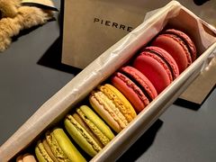 -Pierre Marcolini(德基广场店)