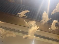 -胖老汉(迎宾路店)