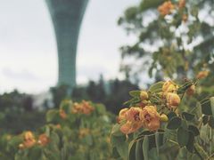 -狐尾山公园