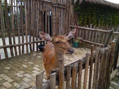 -白鹿原影视城