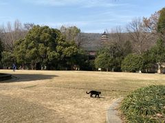 -灵谷景区