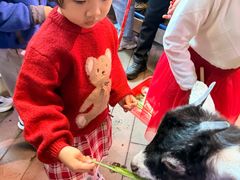 -正佳雨林生态植物园