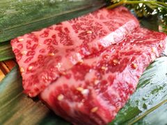 -炼火烤肉店