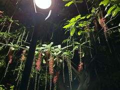 -灵玲国际马戏城