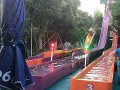 -苏州乐园森林水世界