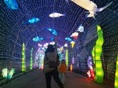 -厦门方特东方神画