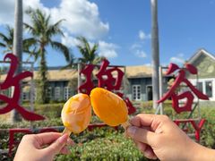 -亚龙湾国际玫瑰谷