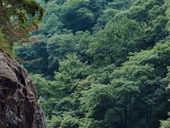 -青峰峡国家森林公园