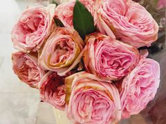 -茶马花街(城西银泰城店)