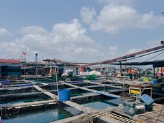 -蓝湾碧波·老字号·疍家非遗海上餐厅