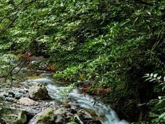-西岭雪山大飞水景区