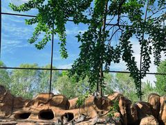 -北京野生动物园