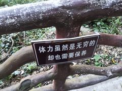 -鹿院坪生态旅游景区