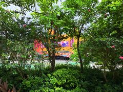 -珠海横琴长隆《卡卡虎奇遇记》