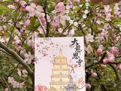 -大慈恩寺(大雁塔)