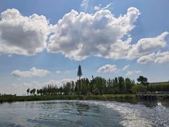 -黑龙江扎龙生态旅游区