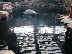 -龙达温泉生态城