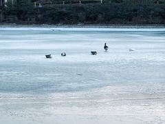 -北宫国家森林公园