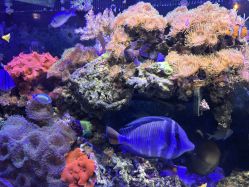 -Zoolung Zoolung动物主题公园(海信广场店)