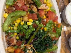 -油梨树 AVOCADO TREE(亮马桥店)