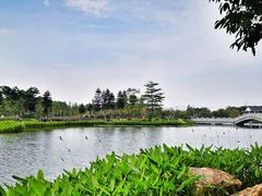-映月湖公园