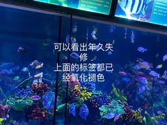 景点-台州海洋世界