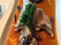-欣叶食艺轩