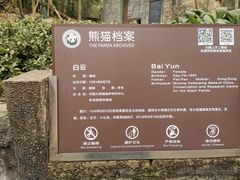 -都江堰中华大熊猫苑