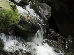 -黑河国家森林公园