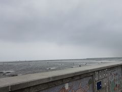 -奉贤海滩