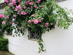 -苏州东山雕花楼宾馆