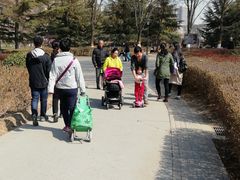 -康庄公园