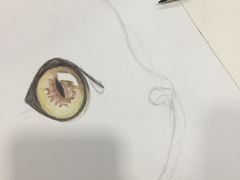 -有间画室