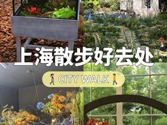 -上海鲜花港