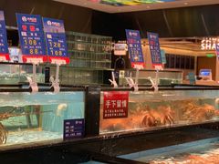 水产区-尚海豆捞(乐虹坊店)