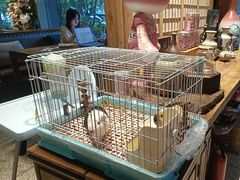 -谷咖啡·鲜花绿植花园餐厅