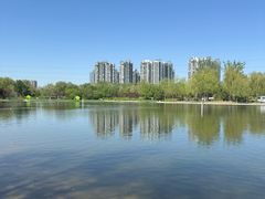 -太阳宫公园